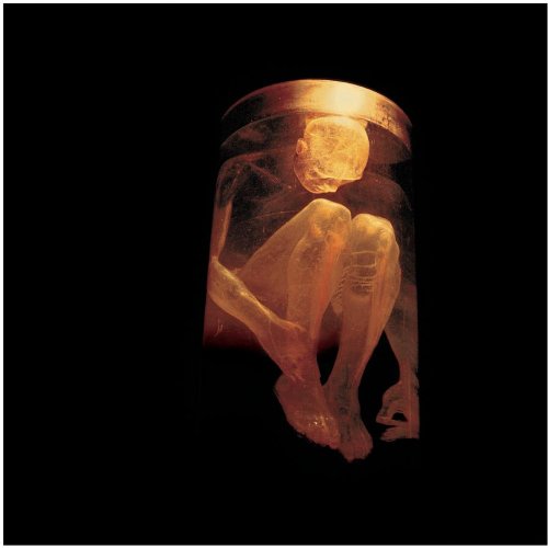 Alice In Chains - Nothing Safe - The Best of The Box (1999) 320kbps