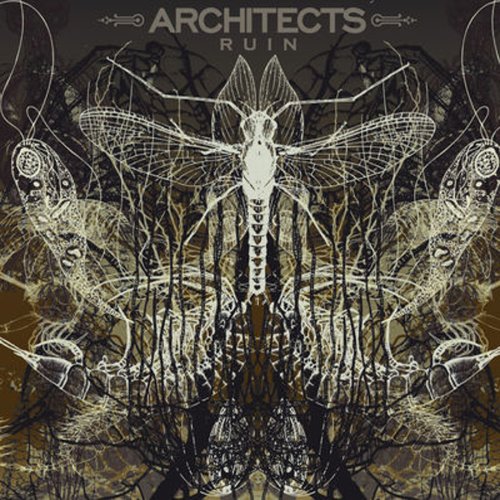 Architects - Ruin