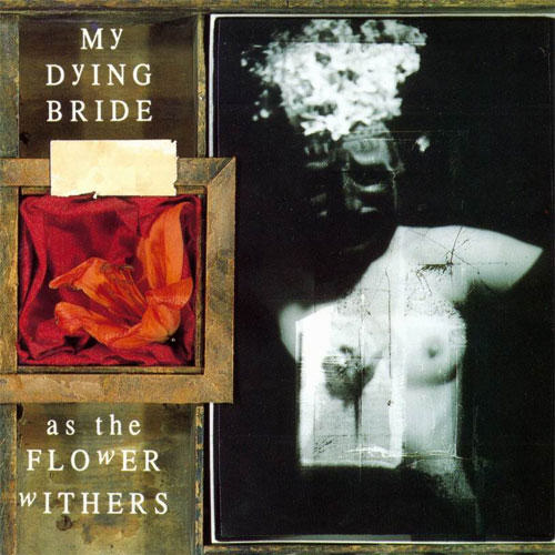 My Dying Bride - As the Flower Withers (1992) 320kbps