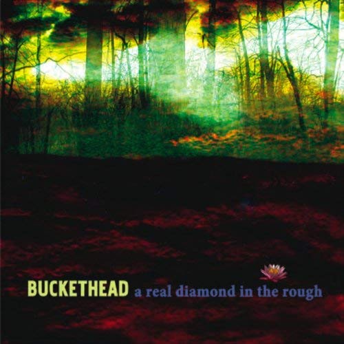 Buckethead - A Real Diamond In The Rough (2009) 320kbps