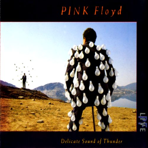 Pink Floyd - Delicate Sound of Thunder (Live)