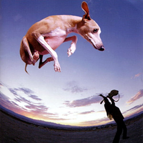 Paul Gilbert - Flying Dog (1998) 320kbps