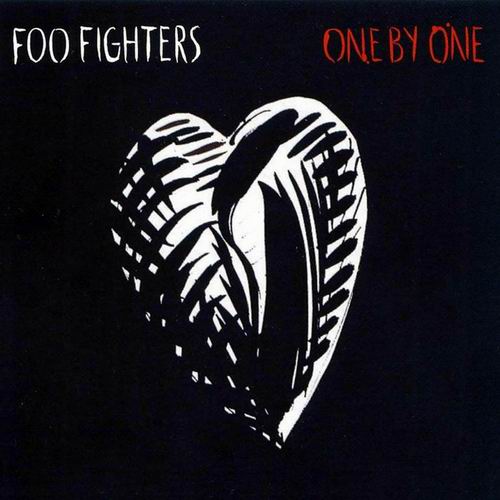 Foo Fighters - One by One (Special Limited Edition)