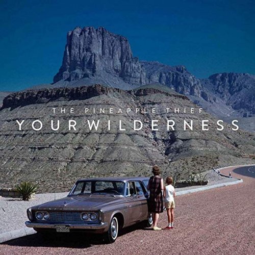 The Pineapple Thief - Your Wilderness (2016) 320kbps